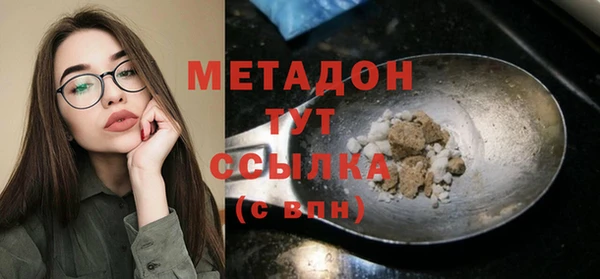 стаф Корсаков