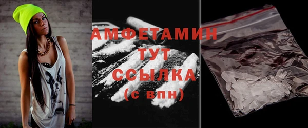 твердый Краснослободск