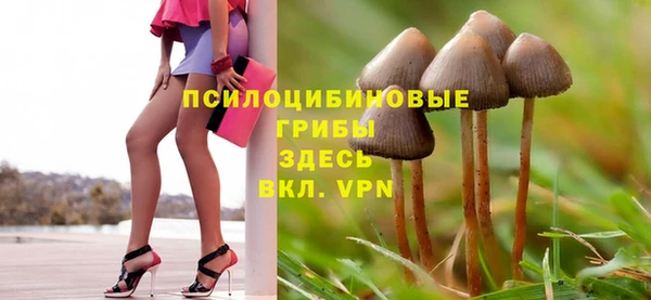 прущие крисы Куйбышев