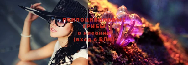 шишки Ладушкин