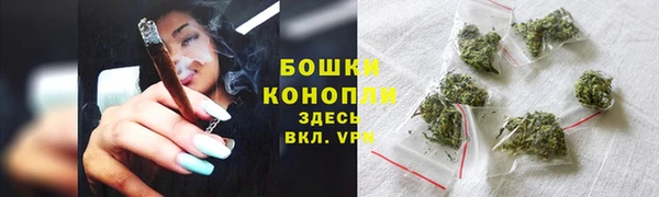 шишки Ладушкин