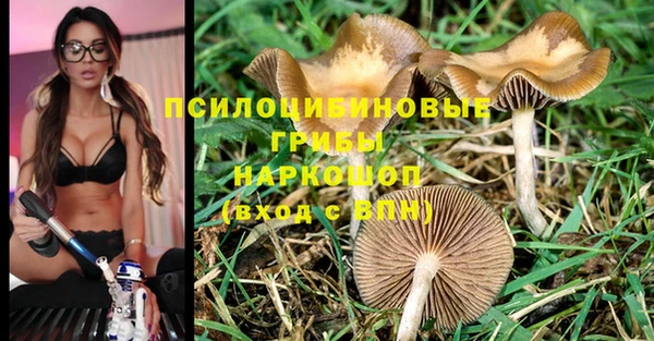 прущие крисы Куйбышев