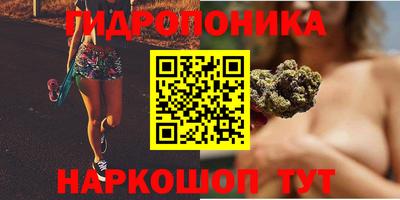 тгк Ипатово