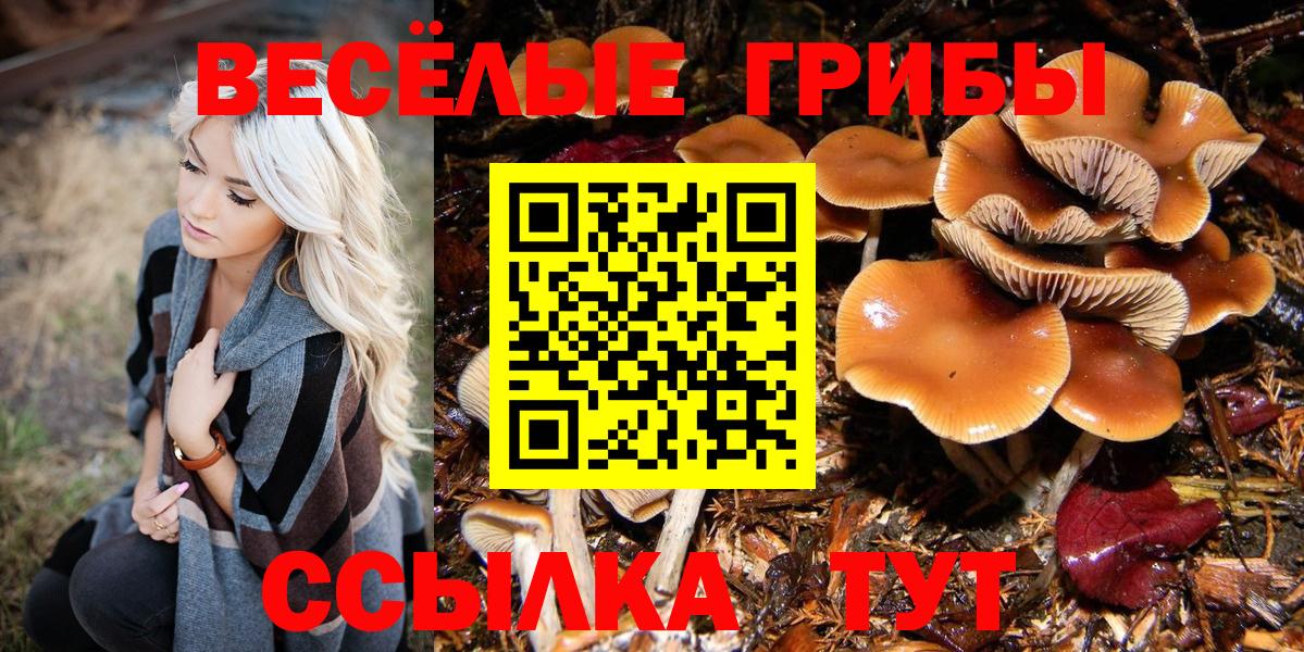Псилоцибиновые грибы мухоморы  Вход с VPN  Курчатов  Галлюциногенные грибы Cubensis 